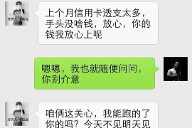 五大连池为什么选择专业追讨公司来处理您的债务纠纷？